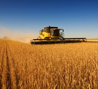 Agricoltura